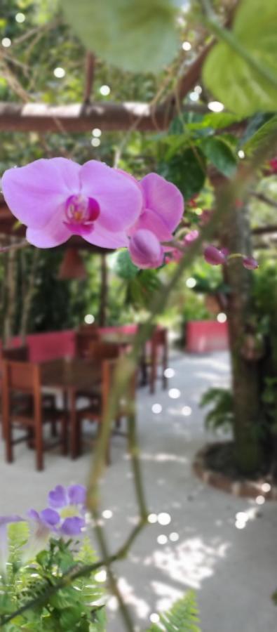 Vila Araticum Praia Santo André Dış mekan fotoğraf